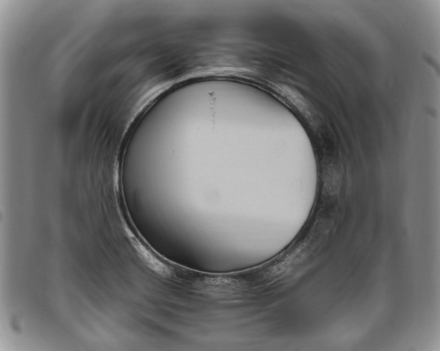 X0000094801420200711301529