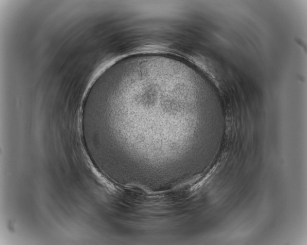 X0000094801421200711301529