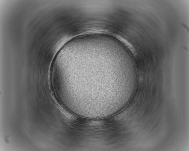 X0000094801423200711301530