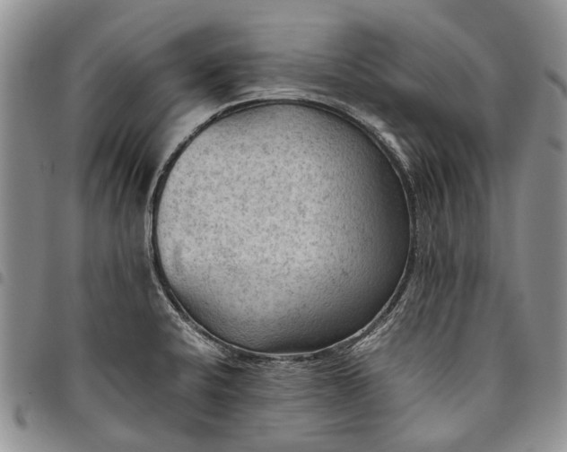 X0000094801424200711301530