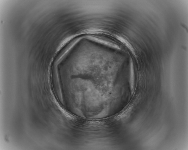 X0000094801429200711301530