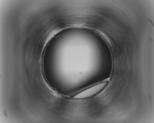 X0000094801432200711301530