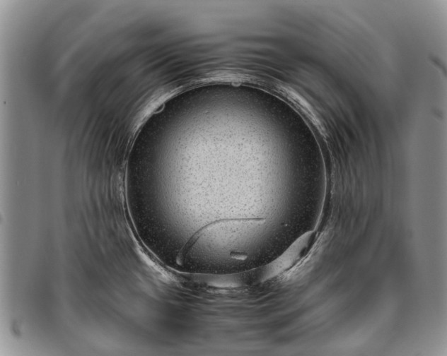 X0000094801433200711301530