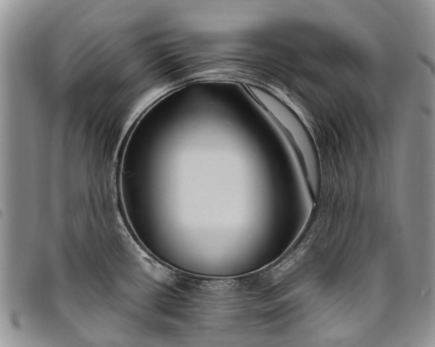 X0000094801434200711301530