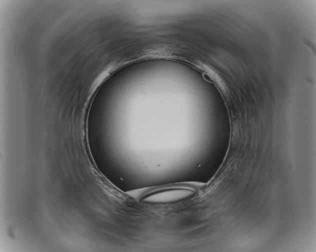 X0000094801435200711301530