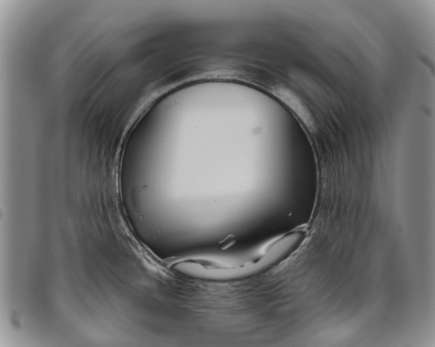 X0000094801436200711301530