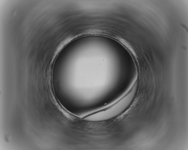 X0000094801437200711301530