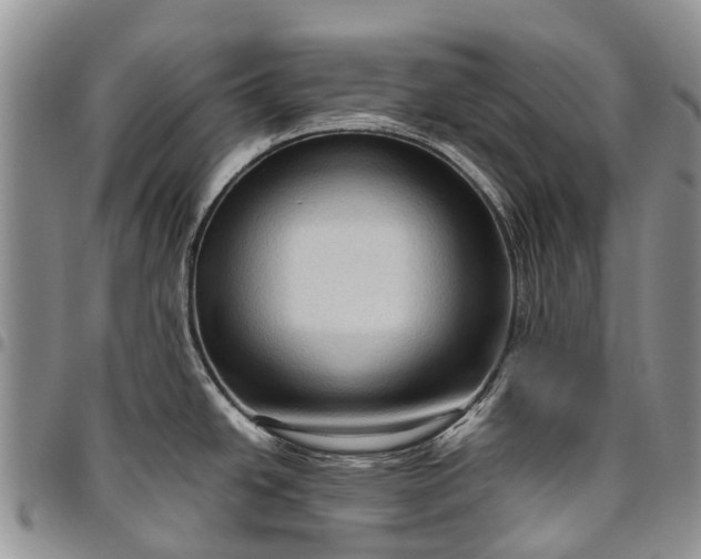 X0000094801438200711301530