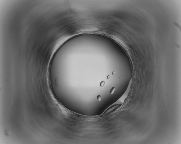 X0000094801440200711301530