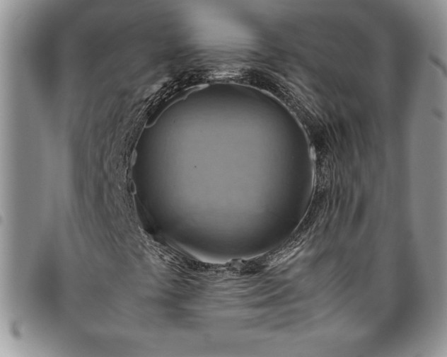 X0000094801441200711301529