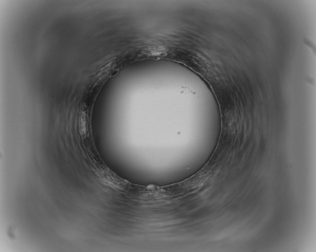 X0000094801442200711301529