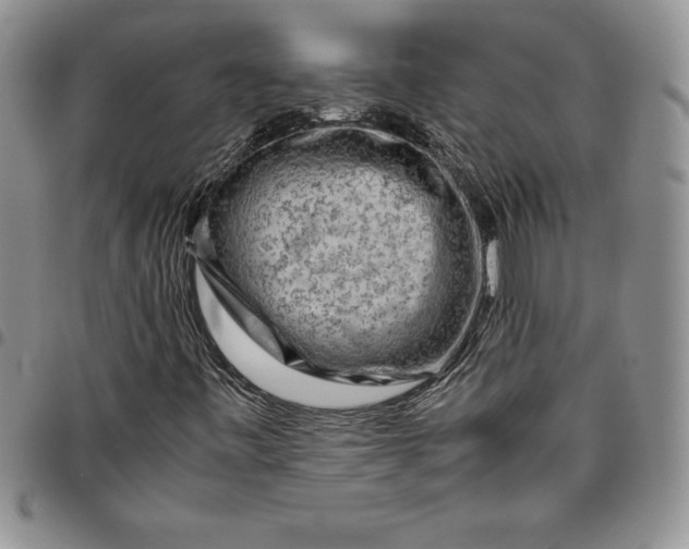 X0000094801443200711301529