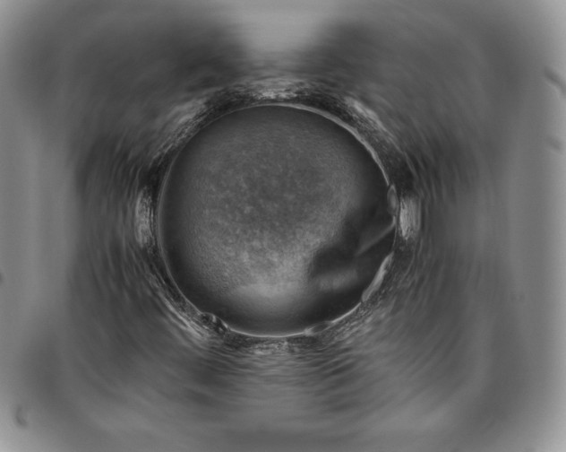 X0000094801444200711301529