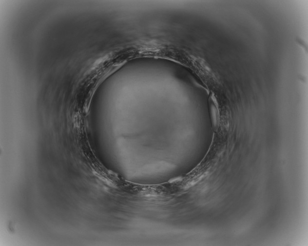X0000094801445200711301529