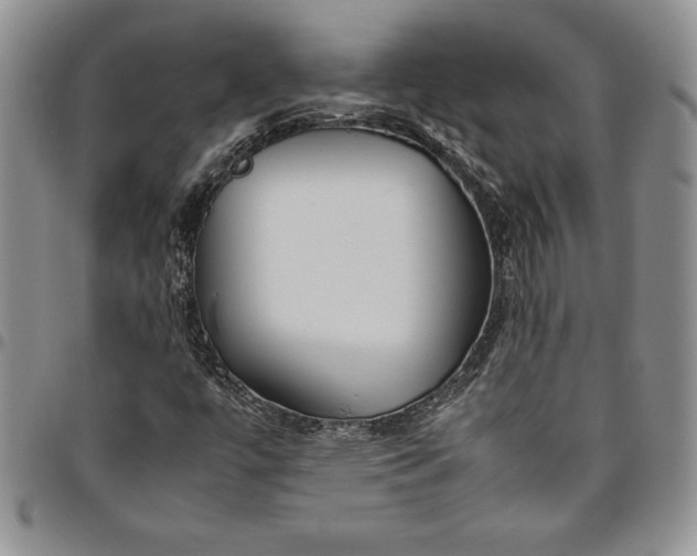 X0000094801447200711301529