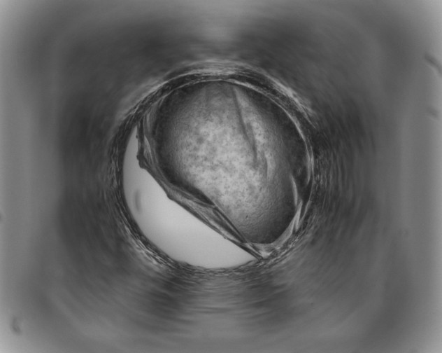 X0000094801448200711301529