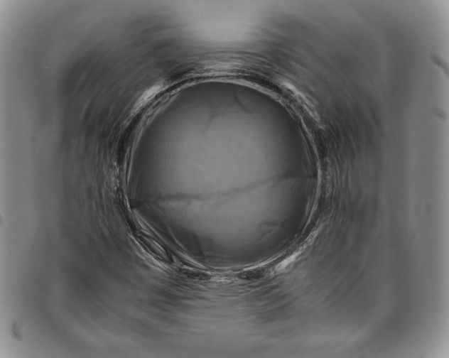 X0000094801449200711301529