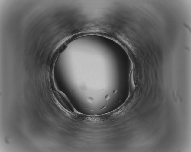 X0000094801452200711301529