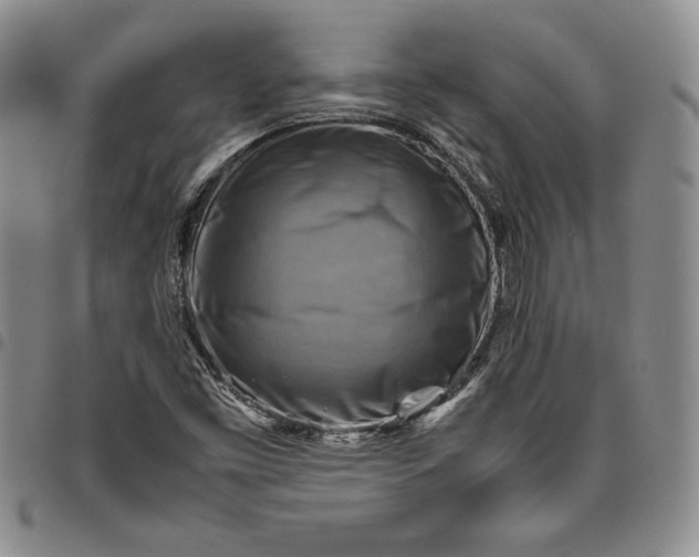 X0000094801453200711301529