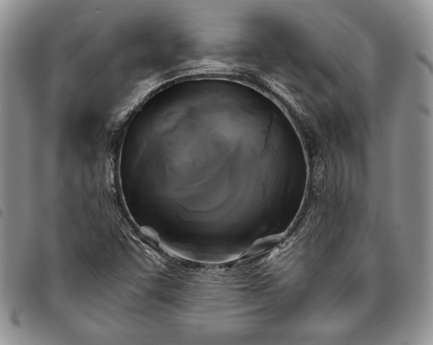X0000094801455200711301529