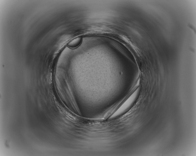 X0000094801459200711301529