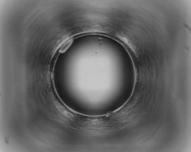 X0000094801460200711301529