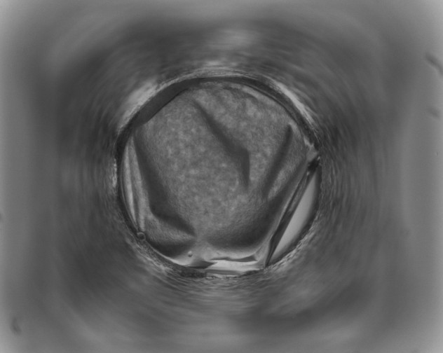 X0000094801461200711301529