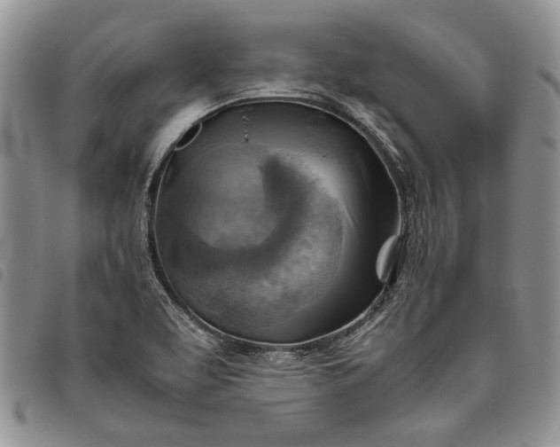 X0000094801463200711301529