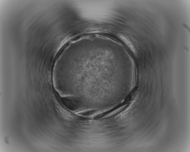 X0000094801465200711301529