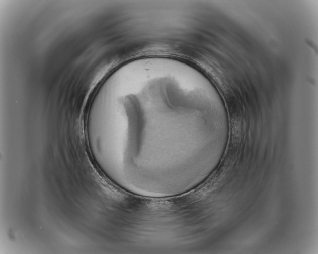 X0000094801466200711301529
