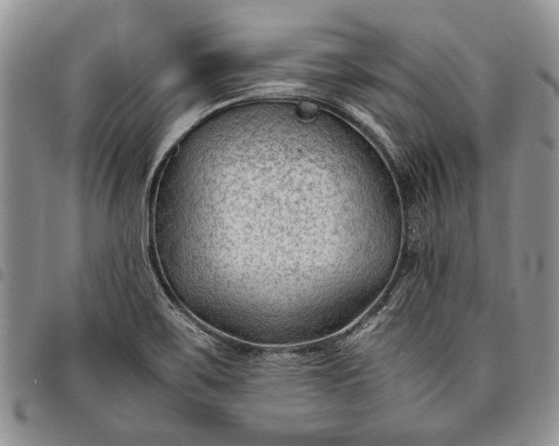 X0000094801467200711301529