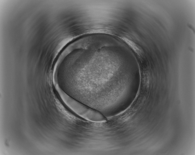 X0000094801468200711301529