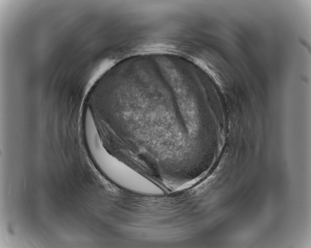 X0000094801469200711301529