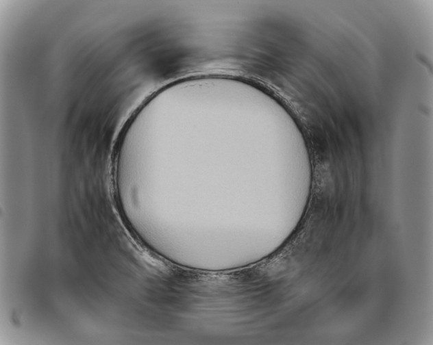 X0000094801470200711301529