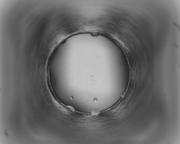 X0000094801471200711301529