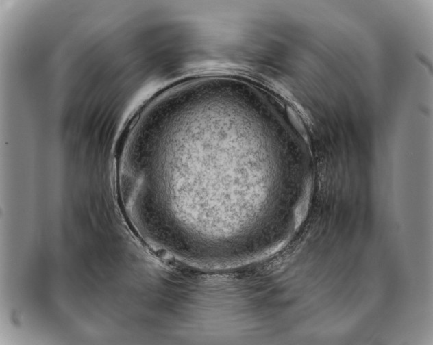 X0000094801472200711301529