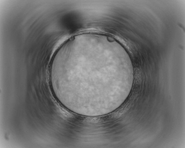 X0000094801474200711301529