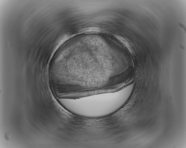 X0000094801475200711301529