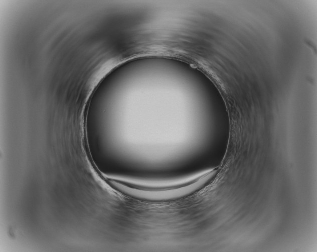 X0000094801479200711301529