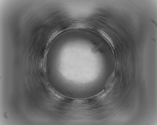 X0000094801481200711301529