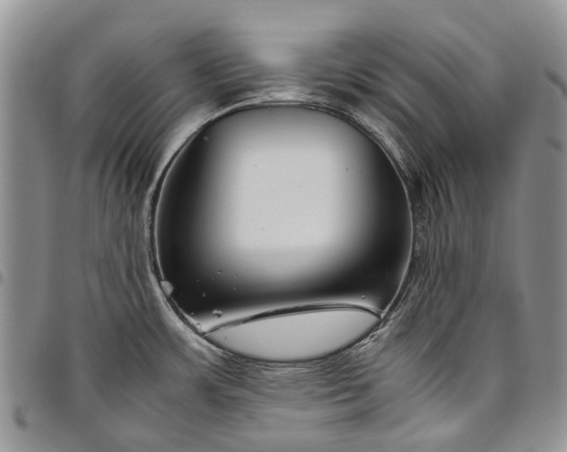 X0000094801483200711301529