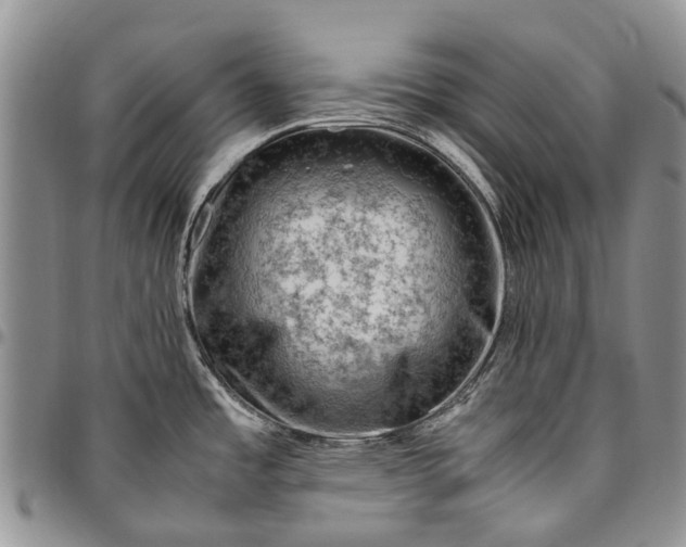 X0000094801485200711301528