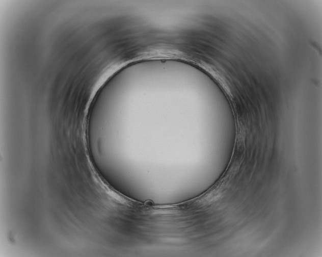 X0000094801486200711301528
