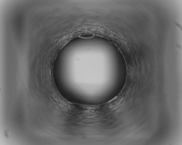 X0000094801489200711301528