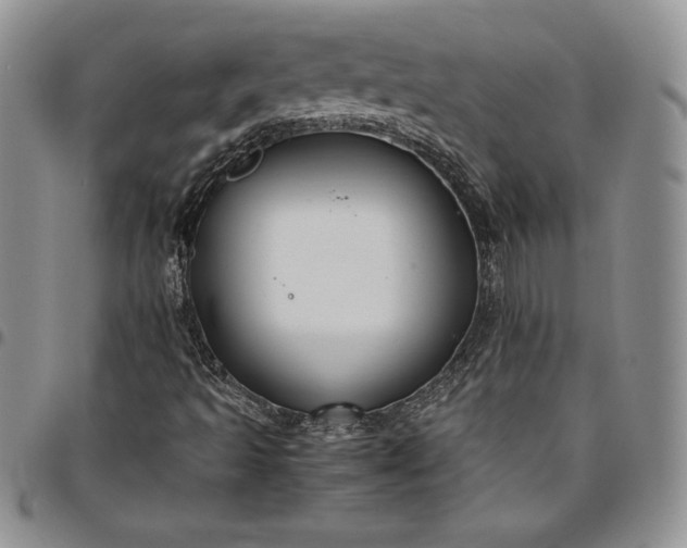 X0000094801493200711301528