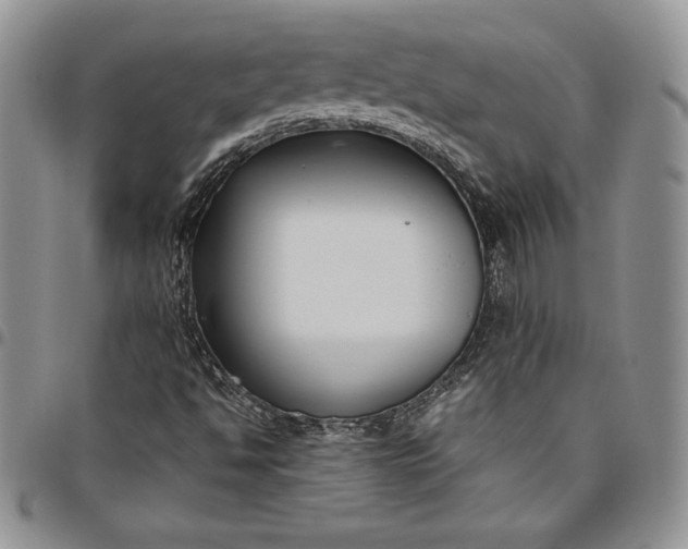 X0000094801494200711301528