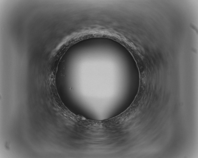 X0000094801495200711301528
