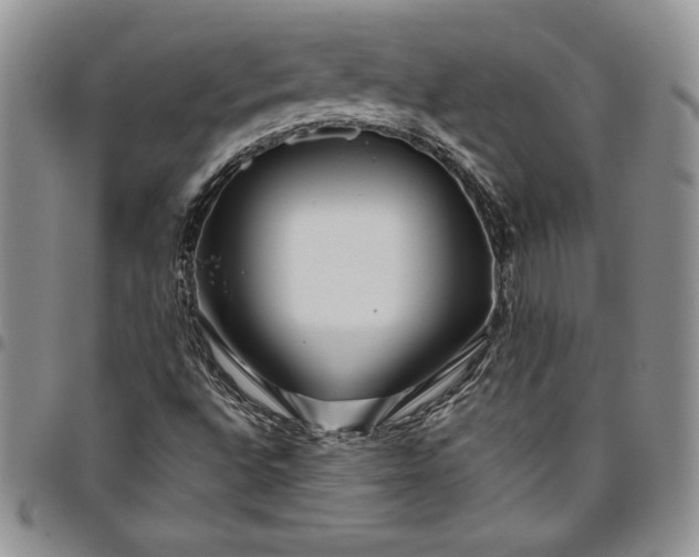 X0000094801496200711301528