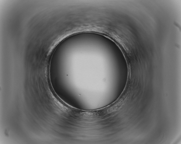 X0000094801500200711301528