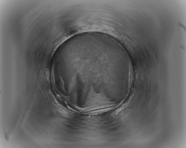 X0000094801505200711301528